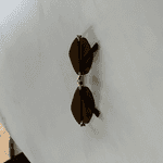 Ormar.app | sajt za prodaju garderobe | 2