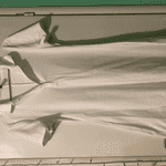 Ormar.app | sajt za prodaju garderobe | 1